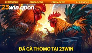 Đá Gà Thomo